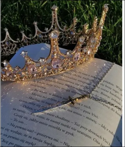 Quel objet te protège dans ''Wonderland'' ?