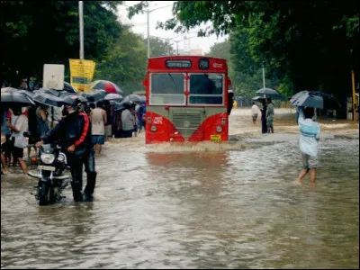Sur les côtes de l'ouest de la France, c'est un détroit entre une île et la terre ferme : 
le pertuis Breton entre l'île de Ré et le continent ;
le pertuis d'Antioche entre l'île d'Oléron et l'île de Ré ;
Comment se nomme celui entre l'île d'Oléron et la presqu'île d'Arvert ?