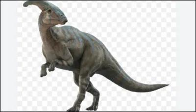 Bonjour à tous !
Dinosaures : comment s'appelle celui présenté sur l'image ?