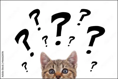 Ensuite, de ces quatre animaux, lequel est ton préféré ?