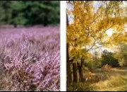 Test Je trouve votre pr�nom, les filles