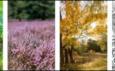 Quiz Test de personnalit�