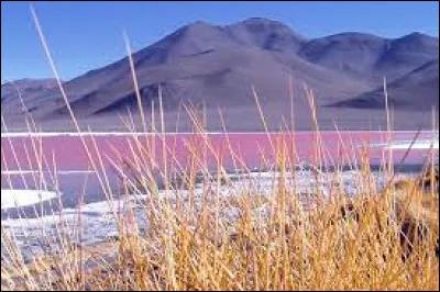 Laquelle de ces propositions sur la Bolivie est vraie ?