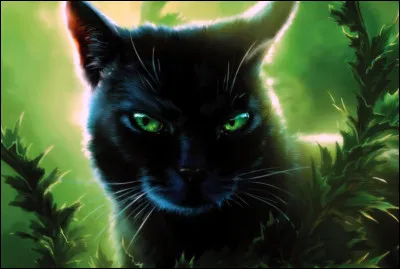 Quelles seraient tes principales qualités si tu étais un chat de ''La Guerre des clans'' ?