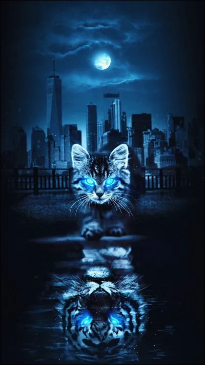 Quel atout aimerais-tu avoir ?