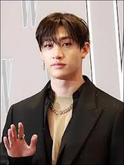 Qui est-ce ? (C'est très répétitif je sais)