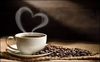 Quels étaient les deux acteurs stars de la série "Caméra Café" diffusée sur M6 ?