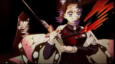 Que se passe-t-il à la fin du combat ?