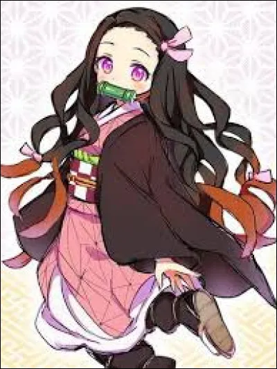 Qui est amoureux de Nezuko ?