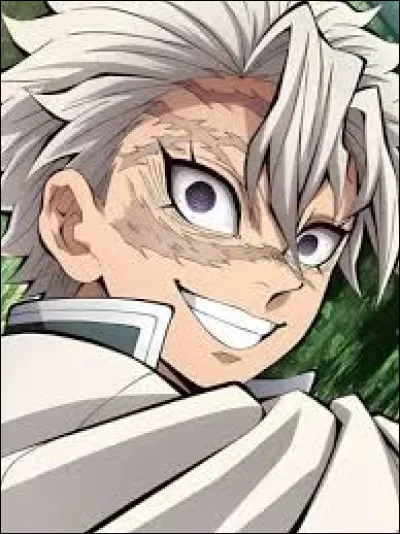 De quoi Sanemi Shinazugawa est-il le pilier ?