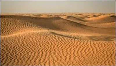 Lequel de ces déserts est situé en Afrique ?