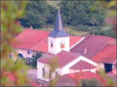 Petit village Meurthe-et-Mosellan de 89 habitants, Forcelles-sous-Gugney se situe en région ...