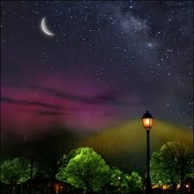 Complétez le titre de cette chanson d'Alain Bashung : "La nuit ..." :