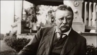 Qui fut le 26e président des États-Unis ?