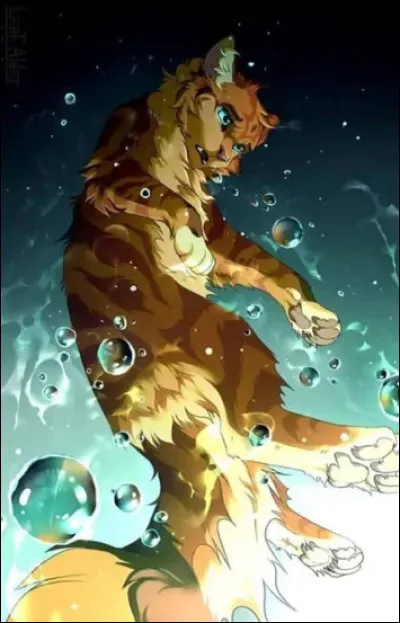 Qui est le père de Plume de Flamme ?