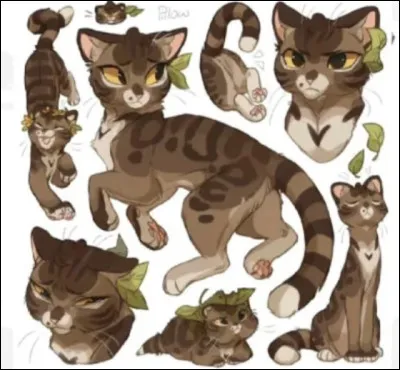 Qui est la mère de Feuille de Lune ?