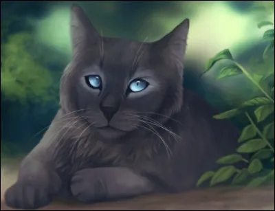 Qui est la mère de Cur Cendré ?