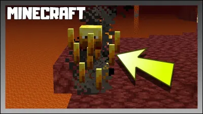 Quel est le nom de ce mob qui sert à finir le jeu ?