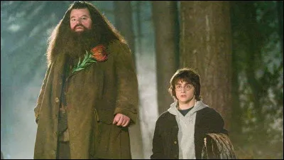 Selon Hagrid dans "Harry Potter", quel endroit est encore plus sûr que Gringotts ?