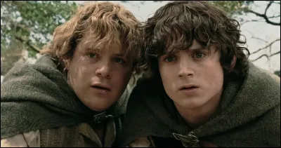 De quel film vient ce duo ?