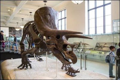 Quelle est la durée annuelle d'enseignement de l'histoire, géographie, éducation morale et civique ?