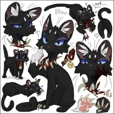 10)
Je suis un chef sanguinaire dun clan de la ville. Je suis le demi-frère dÉtoile de Feu ; jétais un chat domestique avant de menfuir et jai tué Étoile du Tigre pour me venger. Jai un collier avec des crocs et des griffes de chats et de chiens. Qui suis-je ?