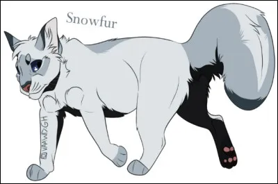 9)
Je suis une guerrière qui est morte en tant que reine. Mon compagnon est un vrai antagoniste et ma sur est très connue. Jai perdu ma mère alors que je nétais quà mon deuxième jour dapprentissage. Qui suis-je ?