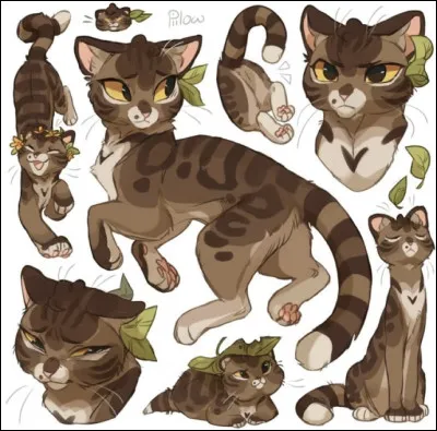 8)
Je suis une guérisseuse qui a eu des chatons avec un guerrier dun autre clan et ma sur ma protégée. Jai entraîné mon fils aveugle dans la voie du guérisseur. Qui suis-je ?