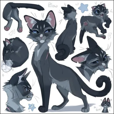 3)
Je suis un des plus grands chefs du Clan du Tonnerre. Jai une cicatrice sur lépaule et jai eu quatre lieutenants dont un qui ma trahie. Jai eu trois chatons avec un guerrier du Clan de la Rivière mais jai dû les abandonner, et un chaton est mort de froid sur la route. Qui suis-je ?