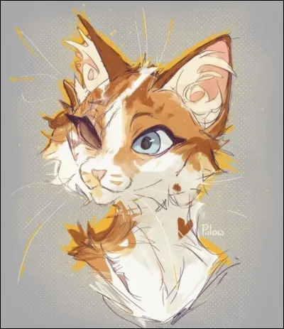 1)
Guerrière défigurée, mon compagnon est le neveu dÉtoile de Feu. Jai eu quatre chatons, mon premier amour est mort en me défendant et je connais plusieurs plantes médicinales. Qui suis-je ?