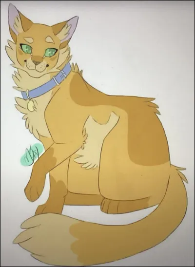 19)
Je suis un chat domestique, je suis le père du héros de lhistoire, je suis ami avec Sapin. Qui suis-je ?