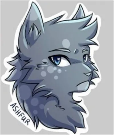 16)
Je suis un guerrier fou amoureux de Poil dÉcureuil mais elle a préféré choisir Étoile de Ronce et jai passé le reste de ma vie à préparer ma vengeance. Qui suis-je ?