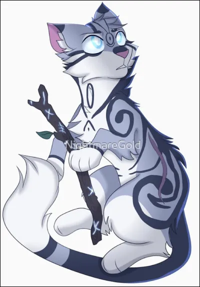 13)
Je suis un guérisseur grognon et ma mère est mon mentor ; jai un frère et une sur et je suis allé dans le passé avant laube des clans. Qui suis-je ?