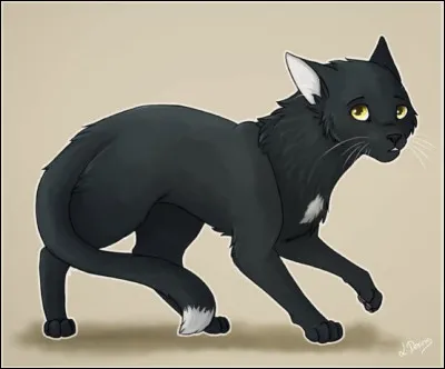 12)
Je suis un solitaire, je vis avec Gerboise et jai sauvé le Clan du Ciel. Je viens du Clan du Tonnerre et mes meilleurs amis sont Étoile de Feu et Plume Grise. Qui suis-je ?