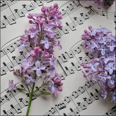 Dans la chanson connue "J'fais des trous, des petits trous, encore des petits trous", qui Gainsbourg met-il en scène ?