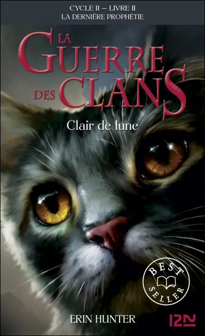 Cycle 2, livre 2 - Qui est sur la couverture ?