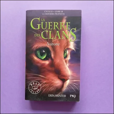 Cycle 2, livre 3 - Qui est sur la couverture ?