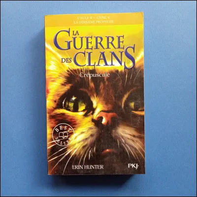 Cycle 2, livre 5 - Qui est sur la couverture ?