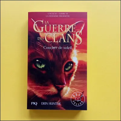 Cycle 2, livre 6 - Qui est sur la couverture ?