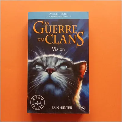 Cycle 3, livre 1 - Qui est sur la couverture ?