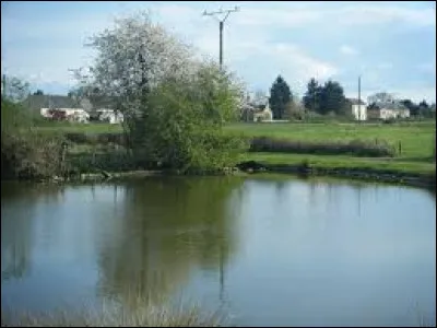 Je vous propose de commencer cette balade au bord de la marre de Champlin. Petit village de 42 habitants, dans l'arrondissement de Clamecy, il se situe dans le département ...