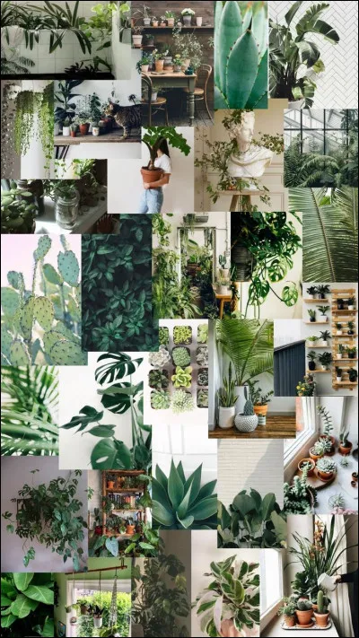 Coucou ! Je ne vais pas te demander ta couleur préférée dans ce test parce que ce serait trop évident ! Voici ma première question : 
Aimes-tu les plantes ?