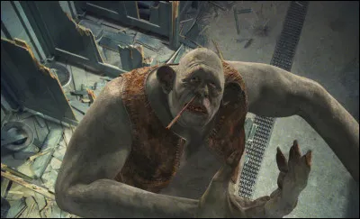 De quelle espèce est le troll qui attaque Poudlard dans le tome 1 ?