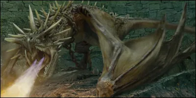 Quelle espèce de dragon doit affronter Harry pendant la première épreuve de la coupe de feu ?