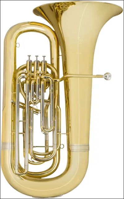 Quel est cet instrument de musique ?