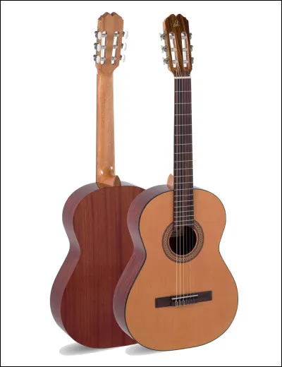 Quel est cet instrument de musique ?