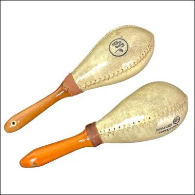 Quel est cet instrument de musique ?