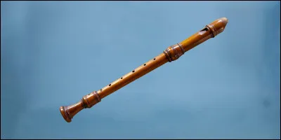 Quel est cet instrument de musique ?