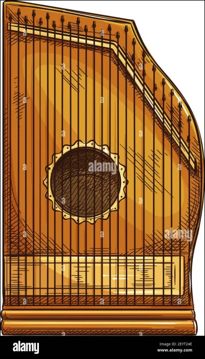 Quel est cet instrument de musique ?