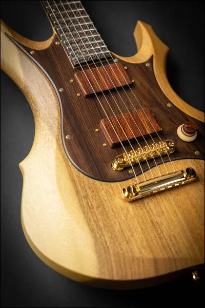 Quel est cet instrument de musique ?